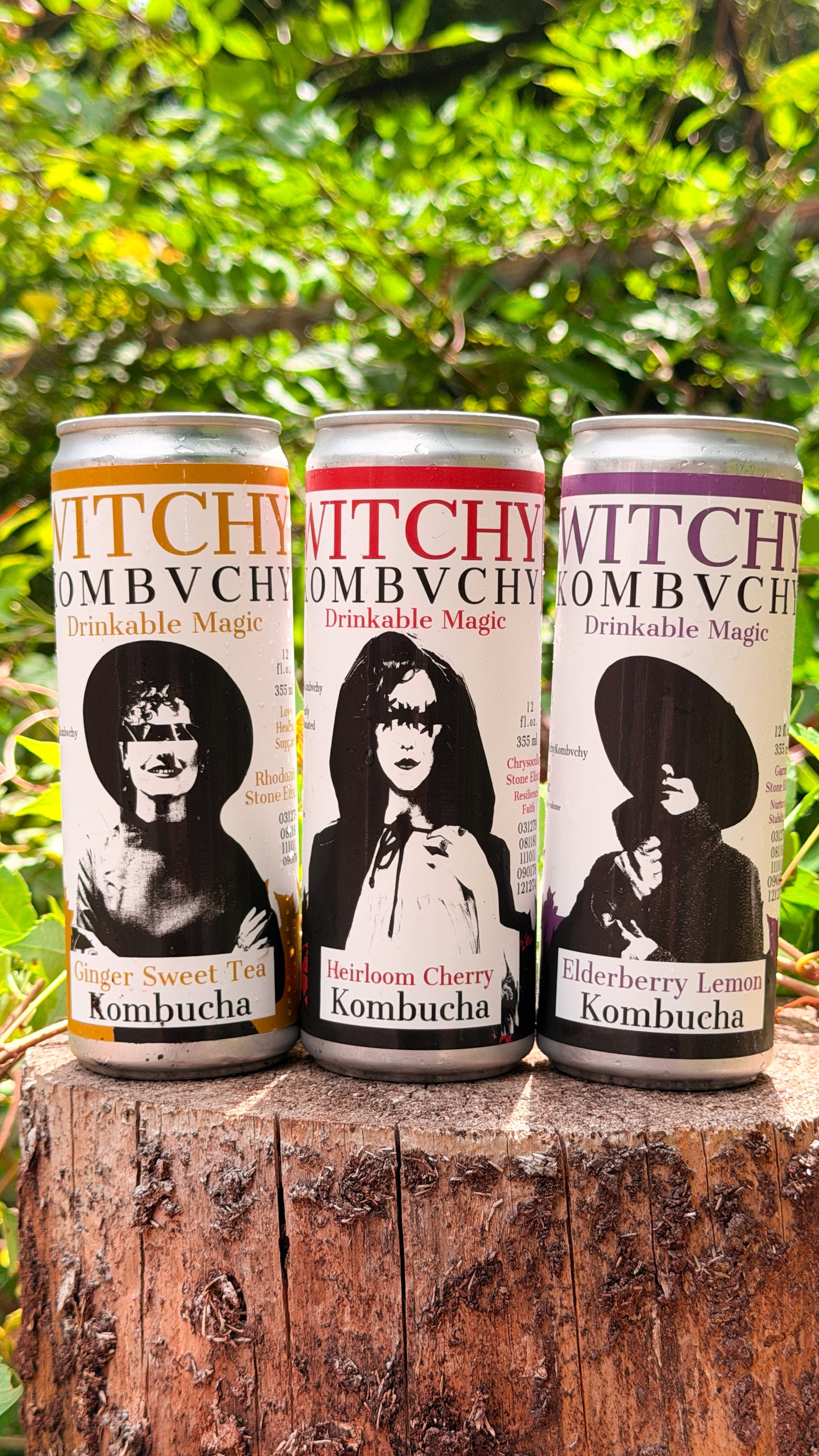 12 Pack Cans Sampler - Elderberry Lemon, Ginger Sweet Tea, Cherry