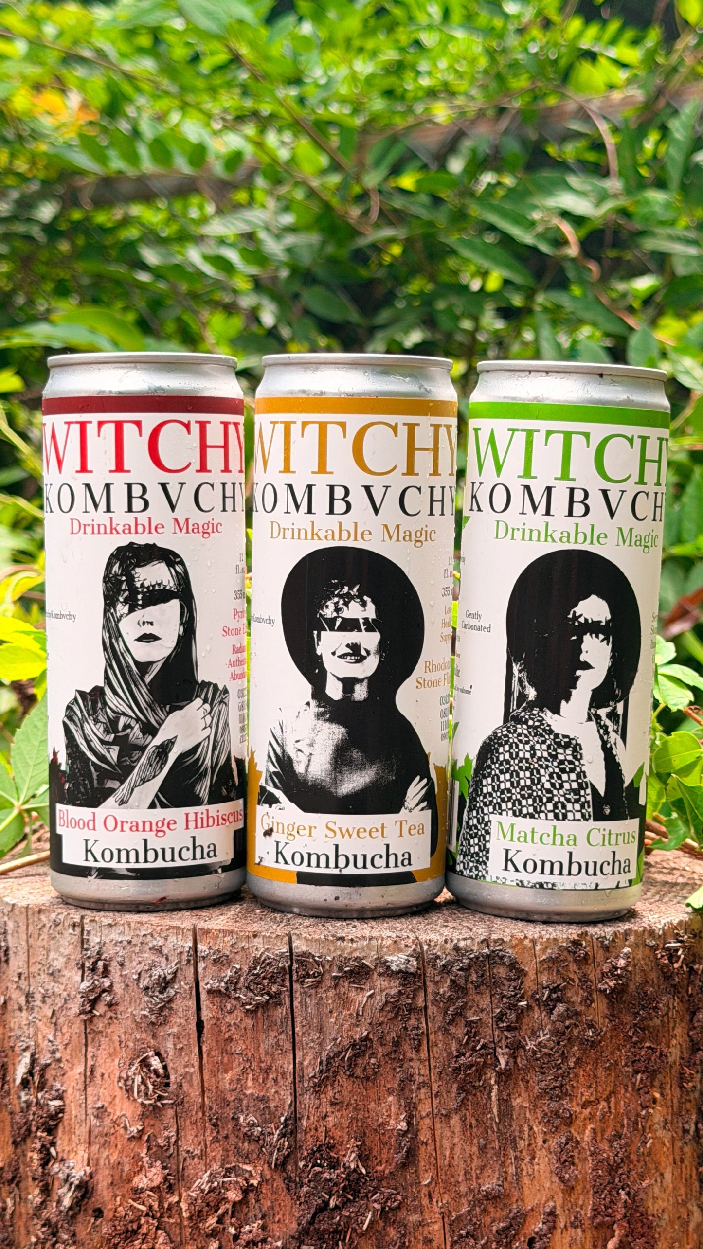 12 Pack Cans Sampler - Matcha Citrus, Ginger Sweet Tea, Blood Orange Hibiscus