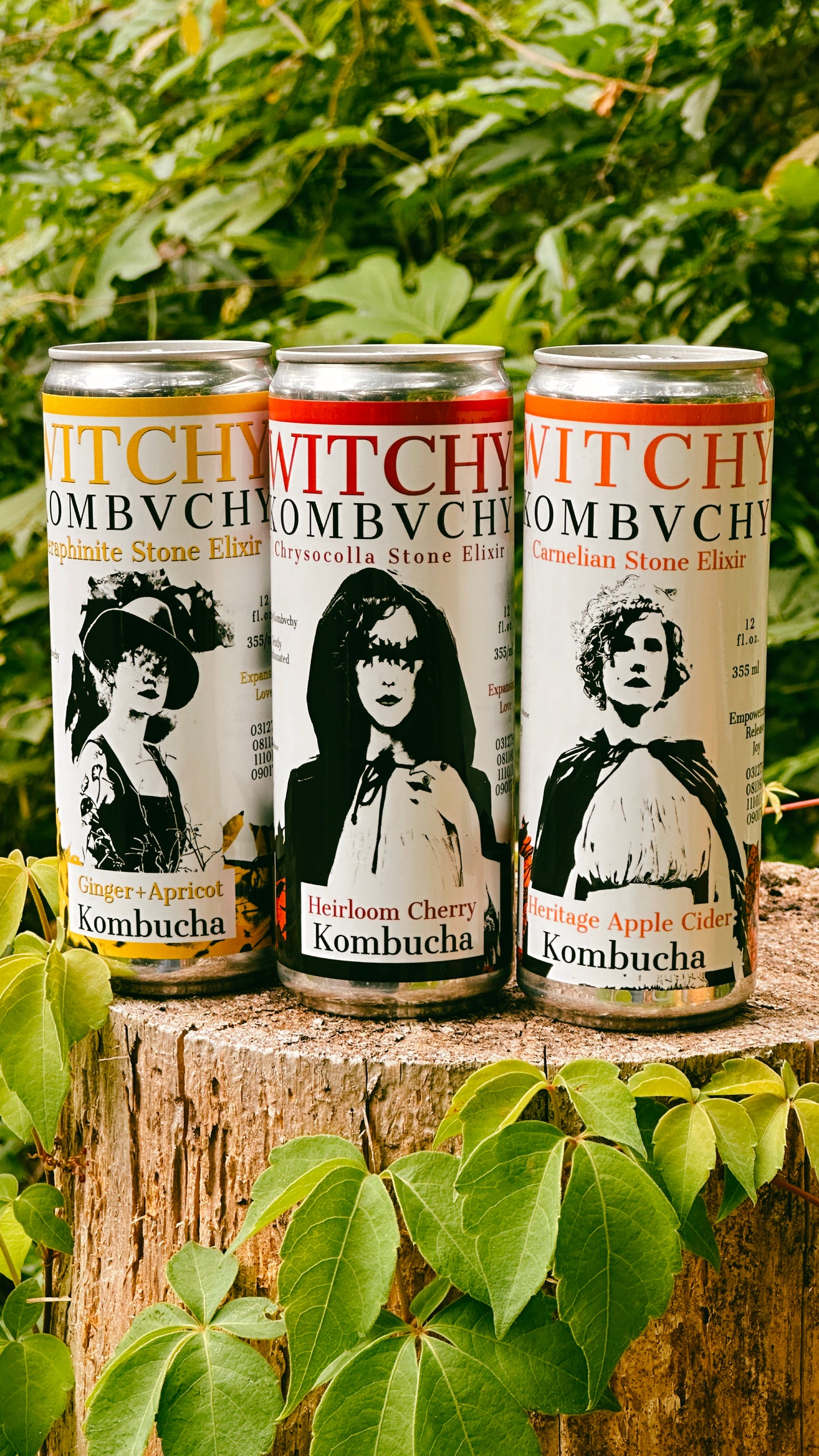 12 Pack Cans Sampler - Apple Cider, Cherry, Ginger-Apricot