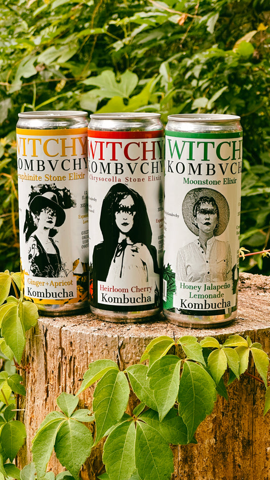 12 Pack Cans Sampler - Cherry, Jalapeno, Ginger-Apricot
