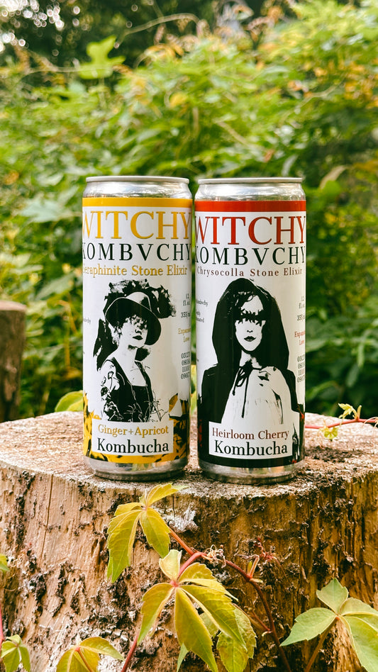 12 Pack Can Sampler - Cherry & Ginger-Apricot